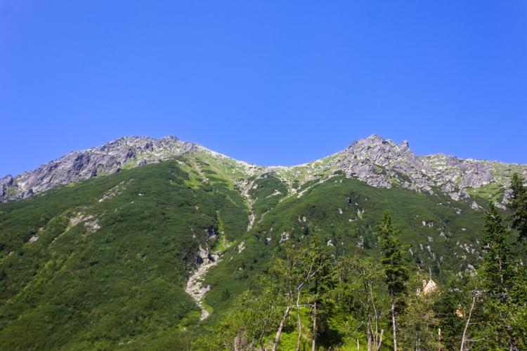 IMG_5264.jpg