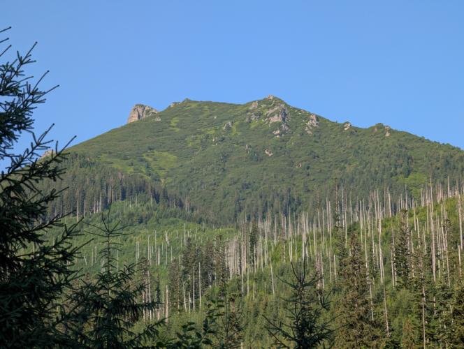PXL_20260804_054701098.jpg
