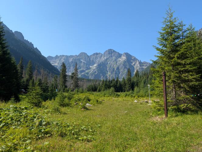 PXL_20260804_072051440.jpg