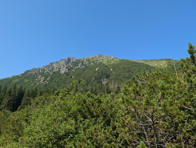 PXL_20260804_080647265.jpg