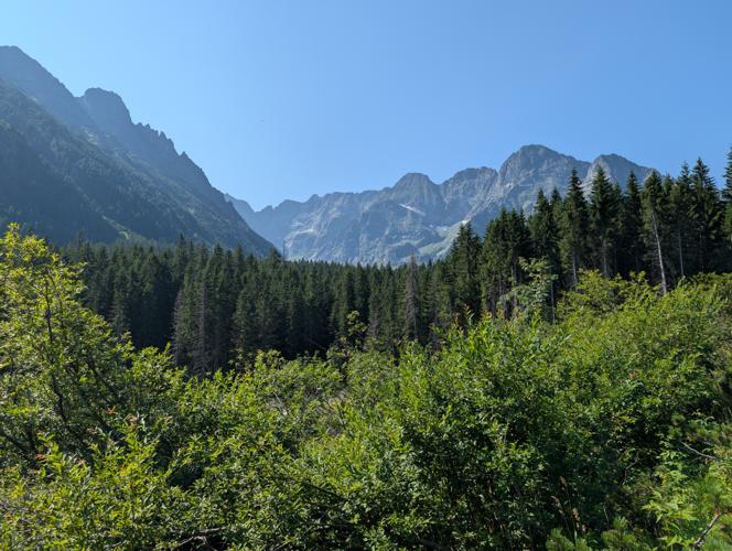 PXL_20260804_080659715.jpg