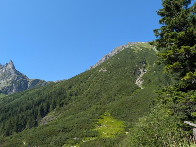 PXL_20260804_082757772.jpg