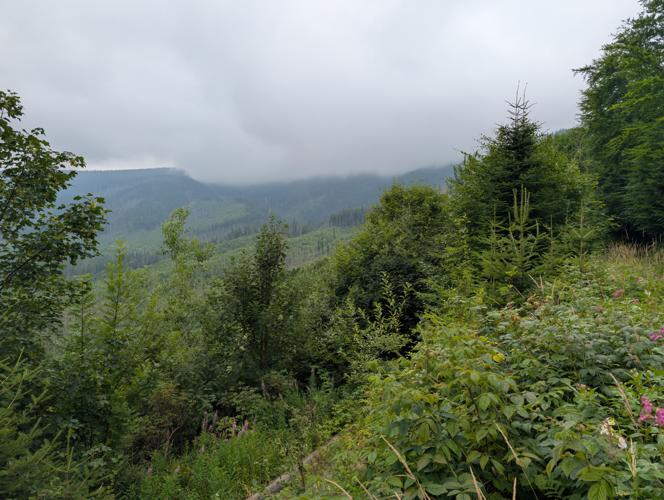 PXL_20260802_101429226.jpg