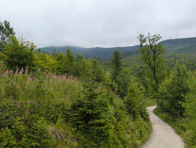 PXL_20260802_121437825.jpg