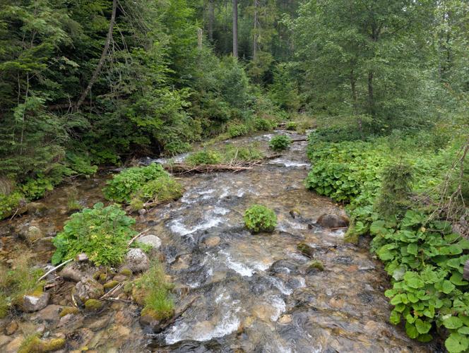 PXL_20260802_122353387.jpg