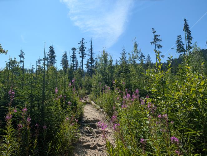 PXL_20260801_080258545.jpg
