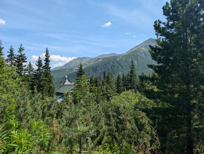PXL_20260801_105007292.jpg