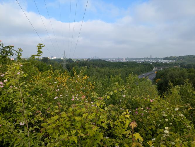 PXL_20250517_062044796.jpg