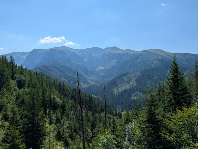 PXL_20260805_092002121.jpg