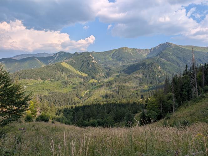 PXL_20260805_155922780.jpg