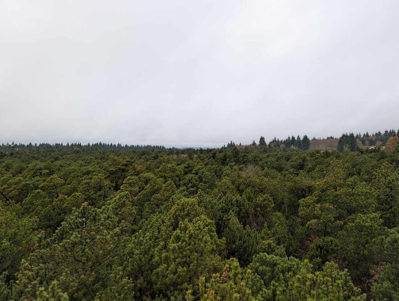 PXL_20261010_115513730.jpg