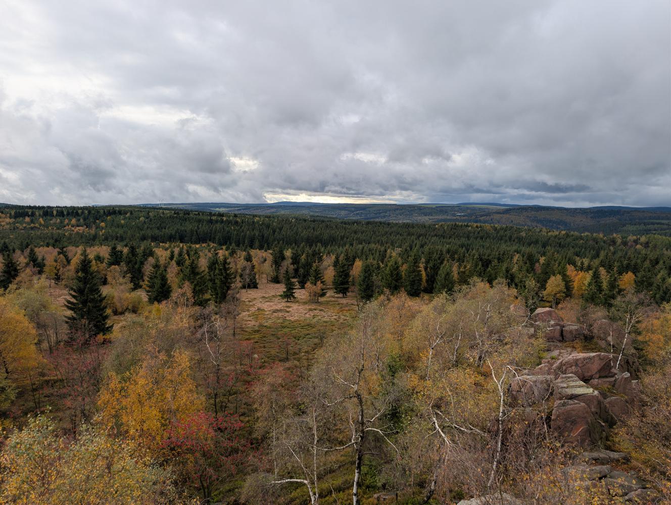 PXL_20261010_131444000.jpg