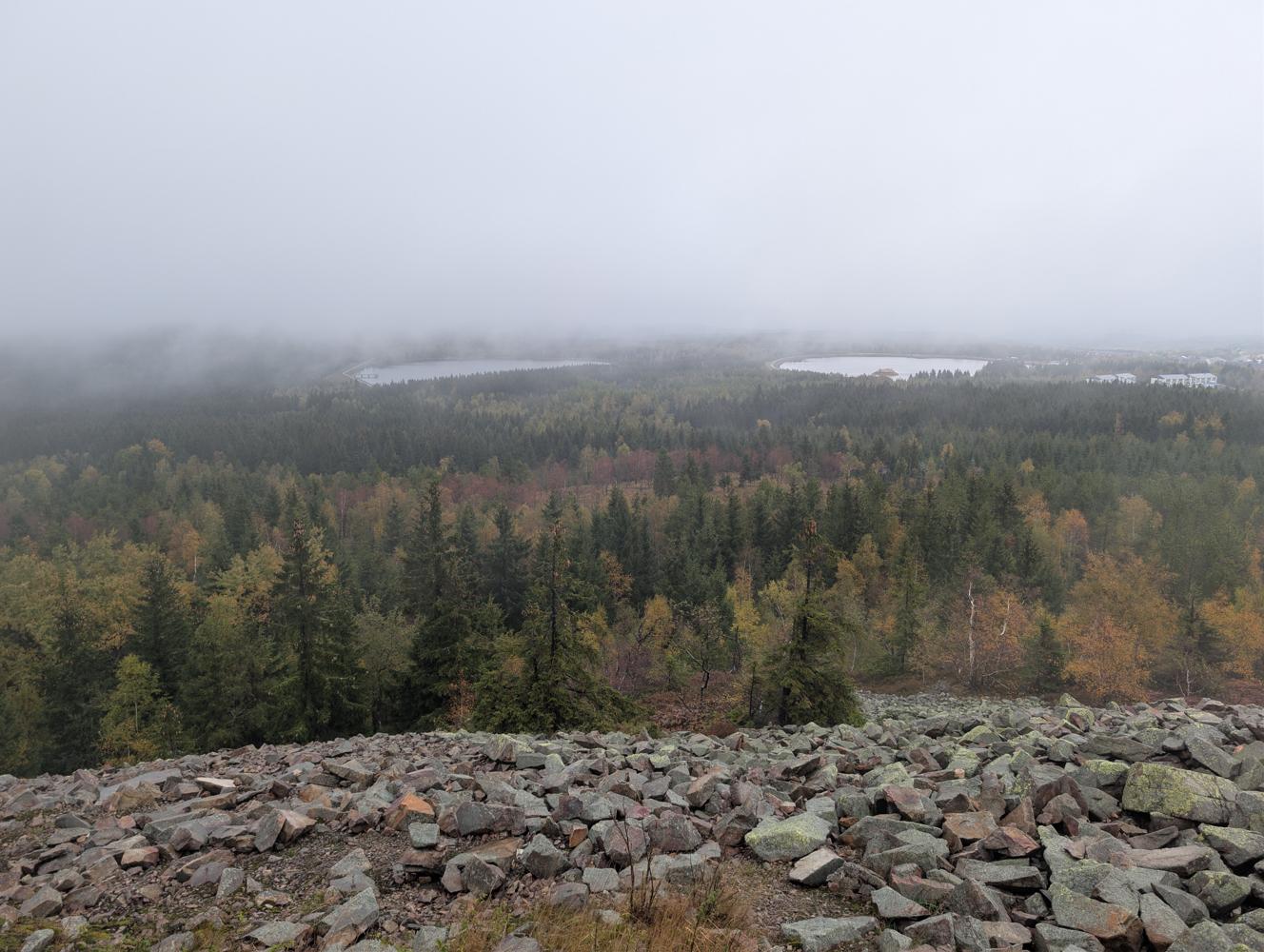 PXL_20261010_141543442.jpg