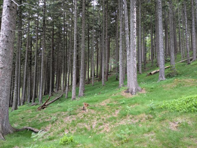 PXL_20250529_135127327.jpg