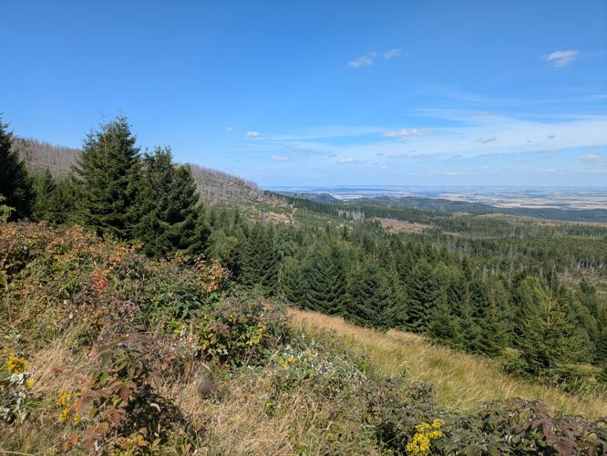 PXL_20250826_111629677.jpg