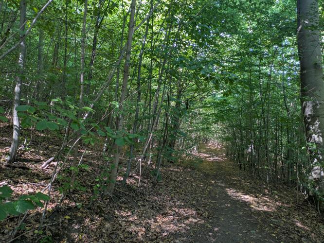 PXL_20250826_125436167.jpg