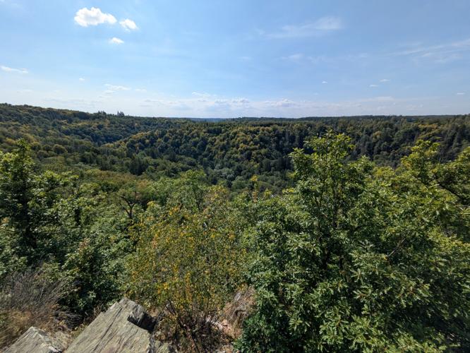 PXL_20250827_113459234.jpg