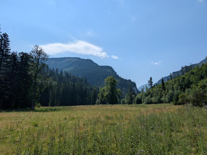 PXL_20260803_091546805.jpg