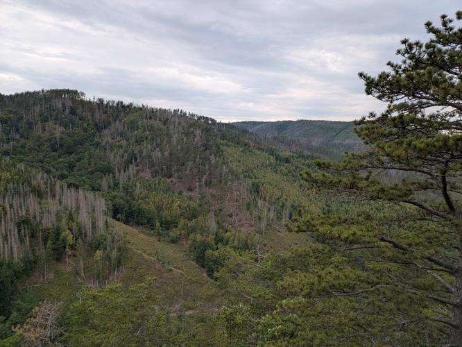 PXL_20250828_144755047.jpg