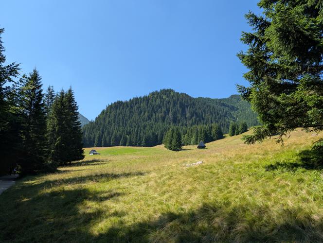 PXL_20260729_091810976.jpg