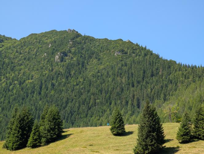 PXL_20260729_091855268.jpg