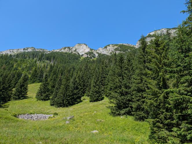 PXL_20260729_101303658.jpg