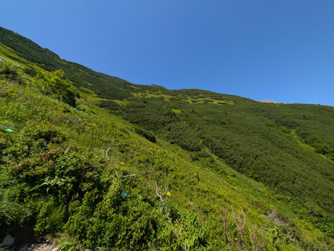 PXL_20260729_112818965.jpg