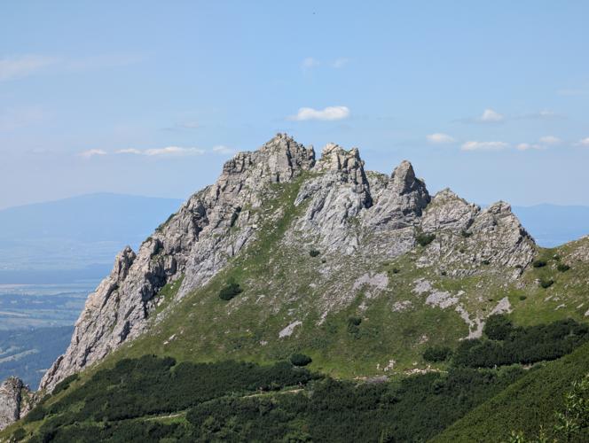 PXL_20260729_115738921.jpg