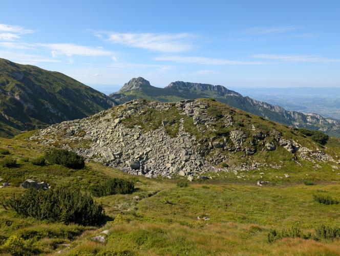 PXL_20260729_141227348.jpg