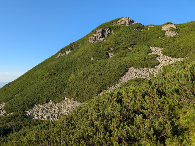 PXL_20260729_164319110.jpg