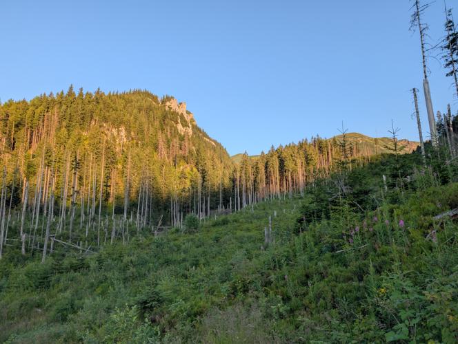 PXL_20260729_174130935.jpg