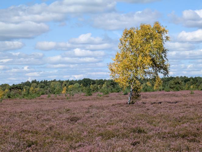 PXL_20260816_104515174.jpg