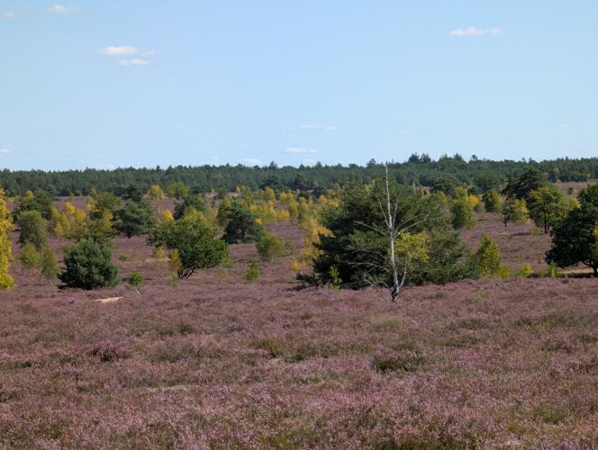 PXL_20260816_112758642.jpg