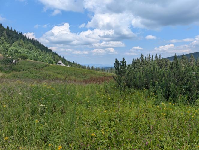 PXL_20260730_113042587.jpg