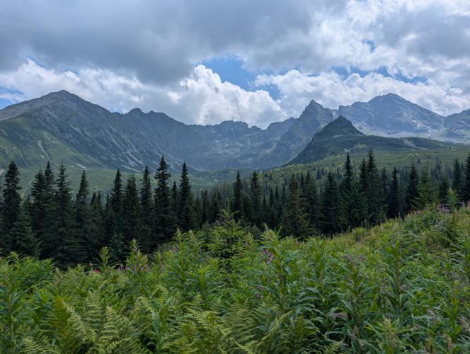 PXL_20260730_115457199.jpg