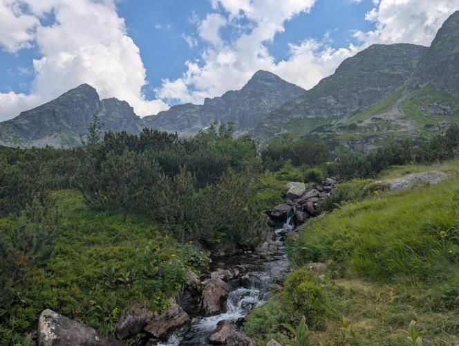 PXL_20260730_124355269.jpg