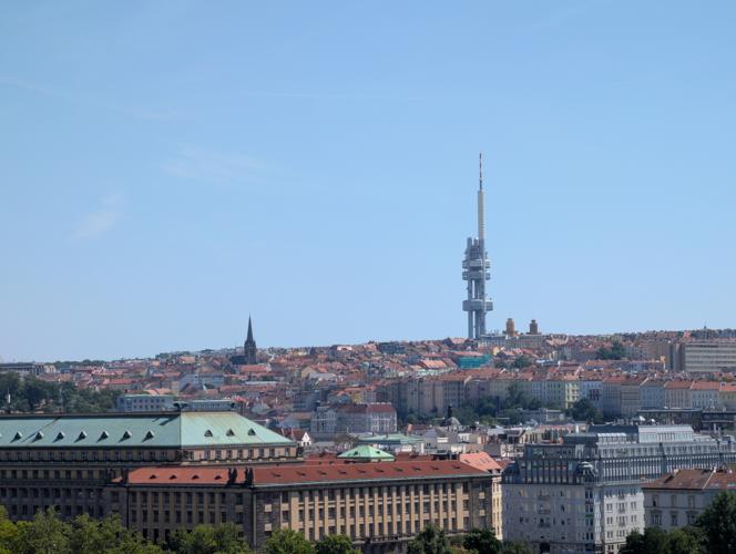 PXL_20260809_115624736.jpg