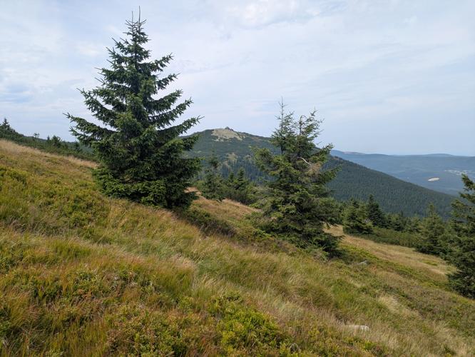 PXL_20250809_110719728.jpg
