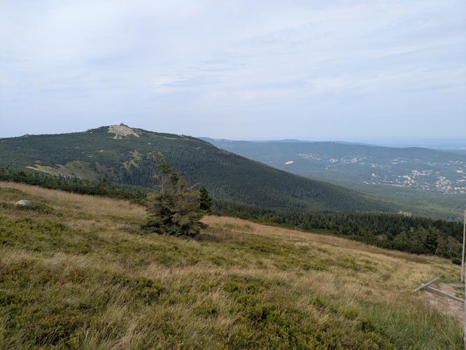 PXL_20250809_111600227.jpg