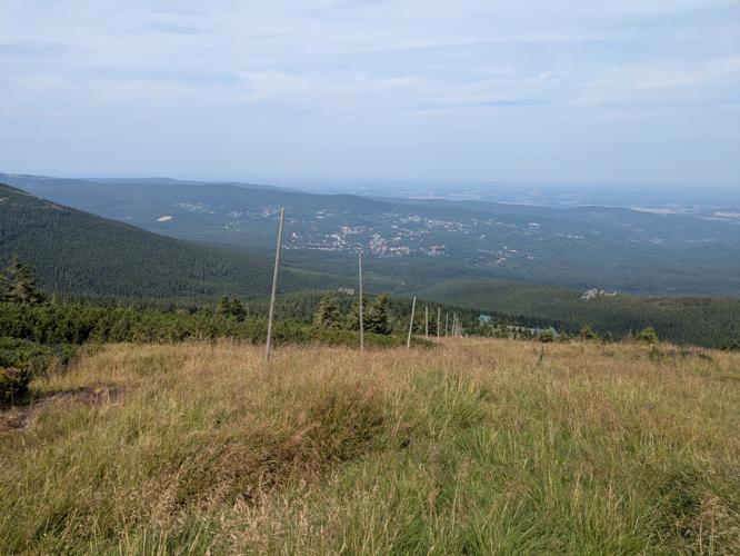 PXL_20250809_111959466.jpg