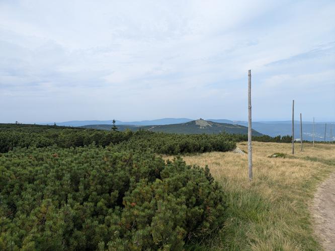 PXL_20250809_112603256.jpg