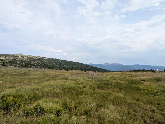 PXL_20250809_113632185.jpg