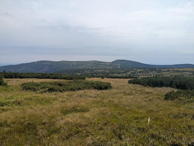 PXL_20250809_123316533.jpg