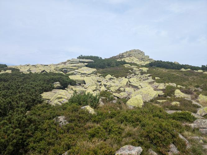 PXL_20250809_123601035.jpg
