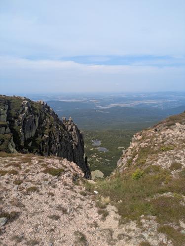PXL_20250809_125852459.jpg