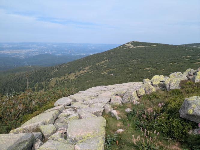 PXL_20250809_131817347.jpg