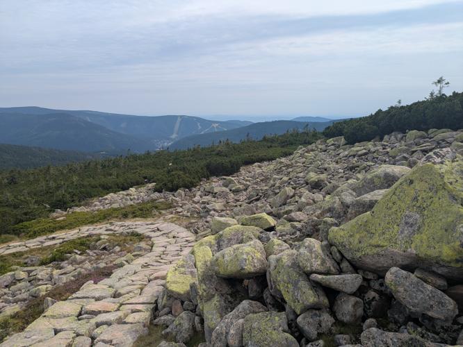 PXL_20250809_132921744.jpg