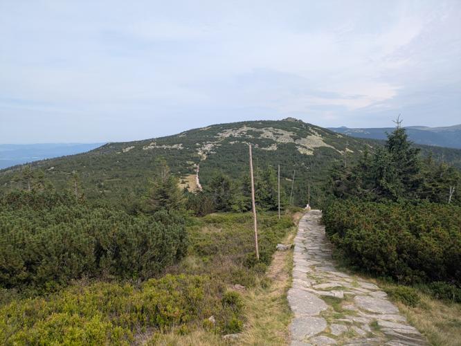 PXL_20250809_133154385.jpg