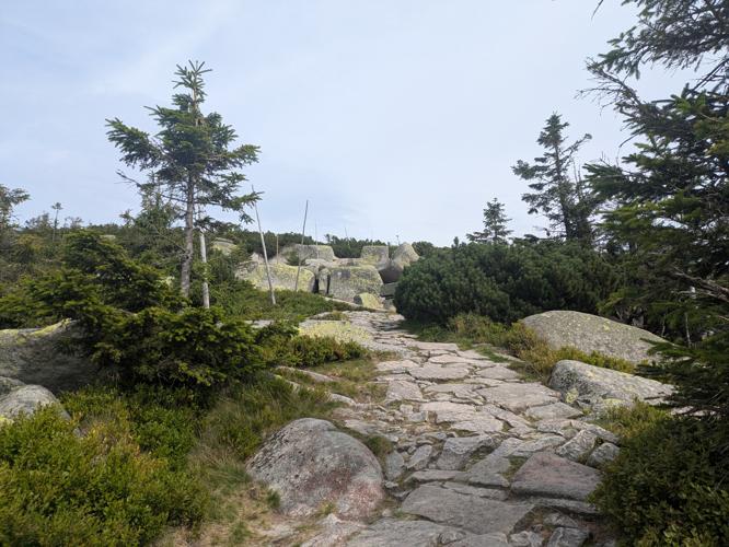 PXL_20250809_134137284.jpg