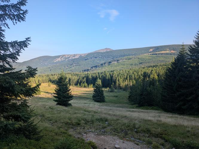 PXL_20250809_164115859.jpg